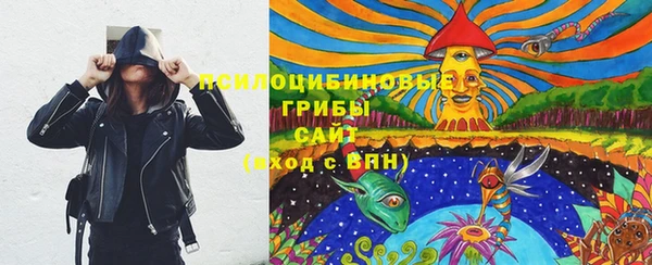 амф Арсеньев